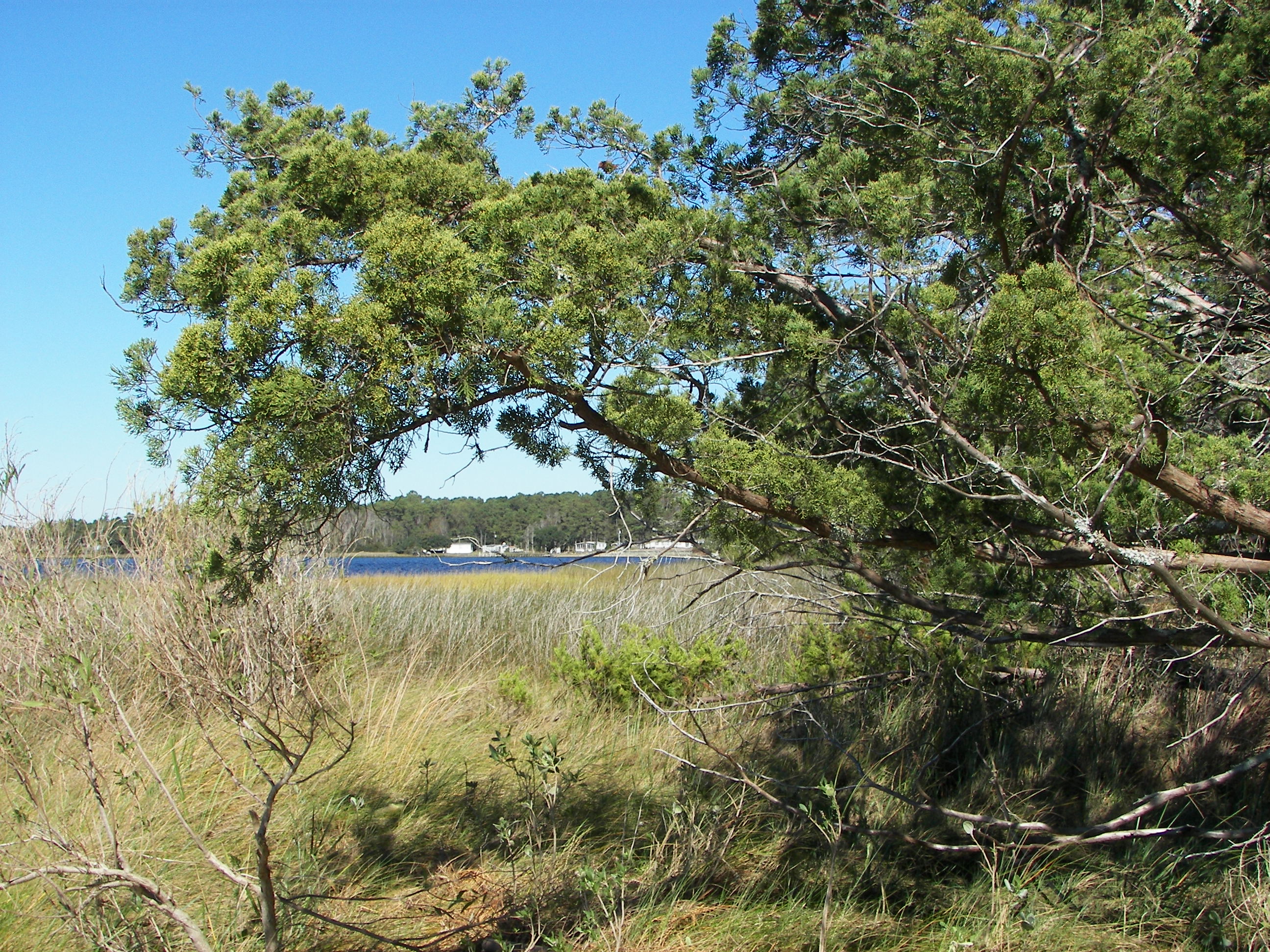 ./2006/Cedar Point/100_1330.JPG